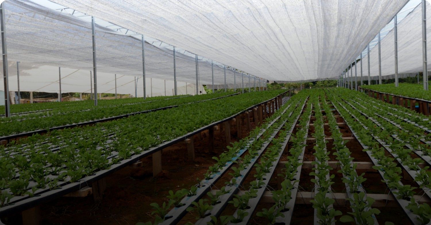 Industries We Serve for film Solutions - Agriculture