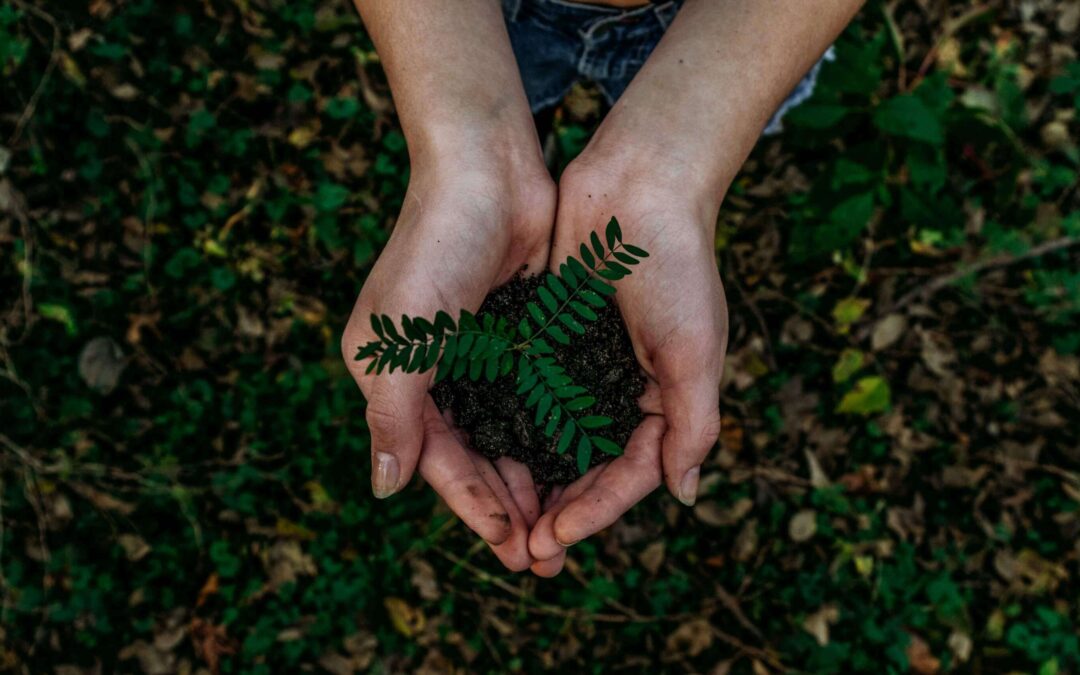 All You Need To Know About Post-consumer Recycled PE Films